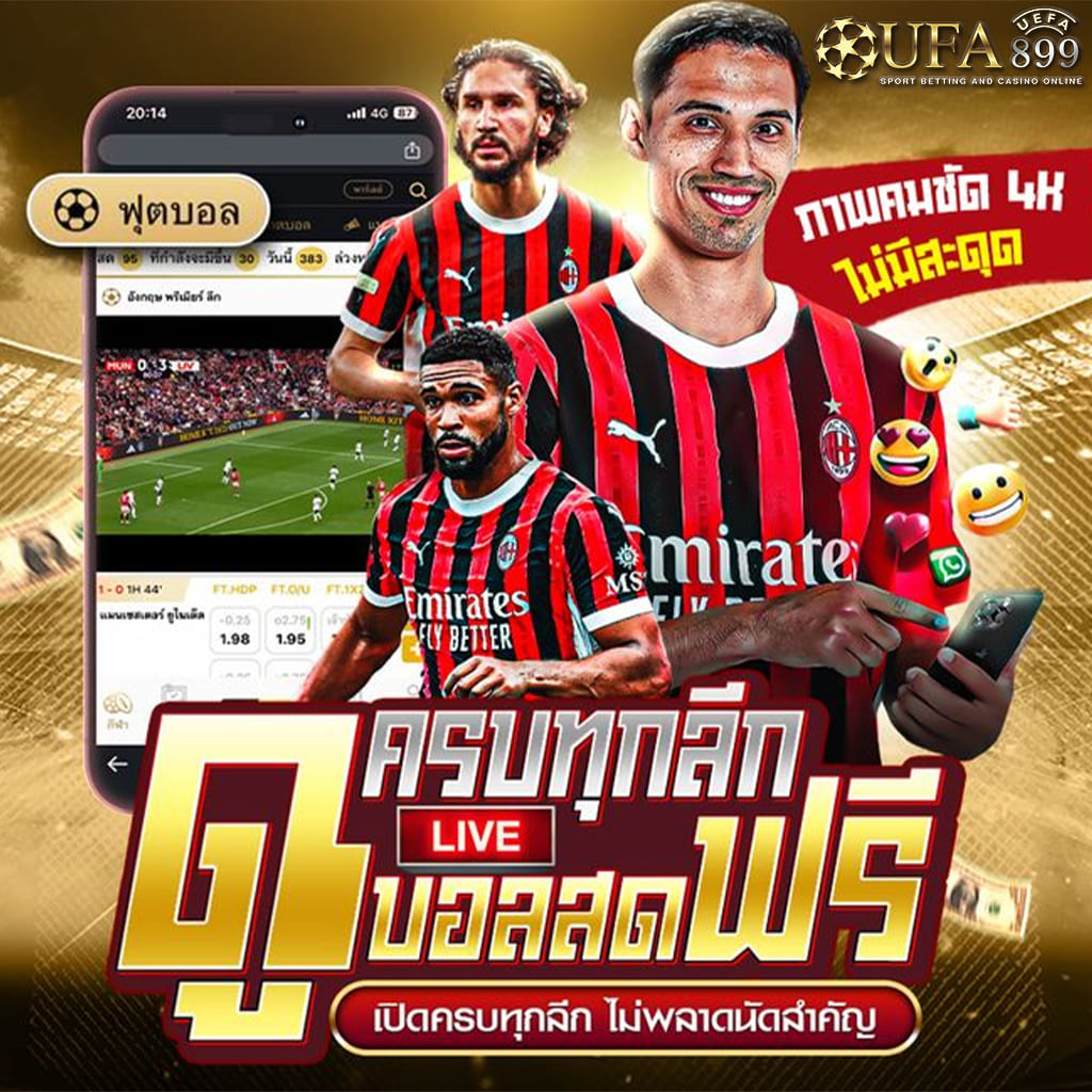 ไม่พบรูปภาพ