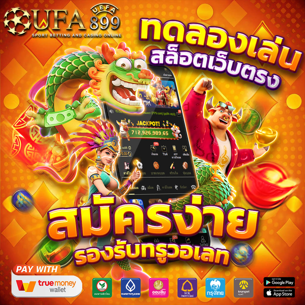ไม่พบรูปภาพ