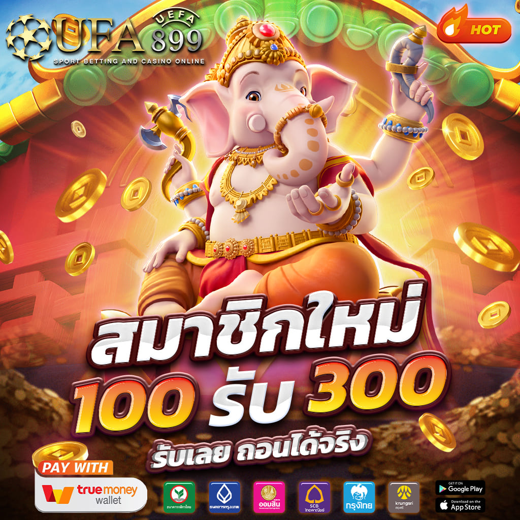 ไม่พบรูปภาพ