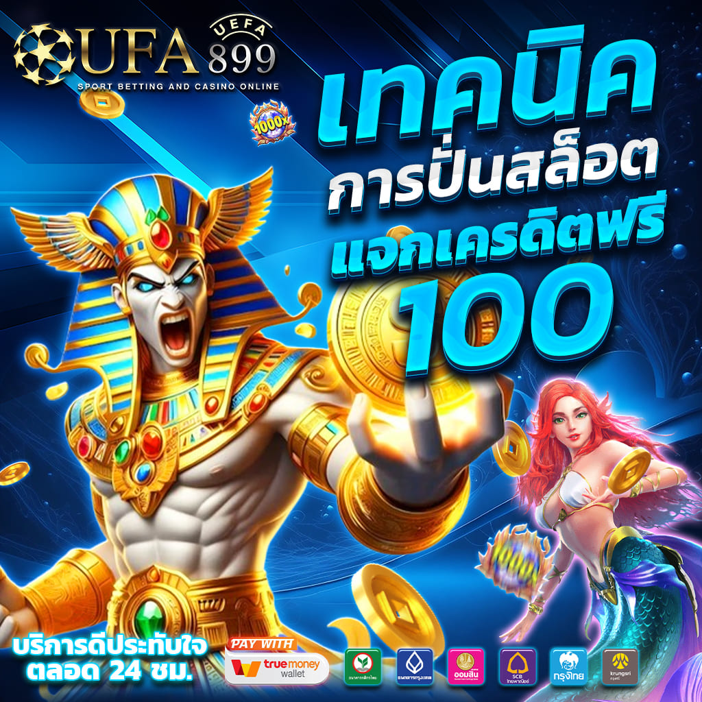 ไม่พบรูปภาพ