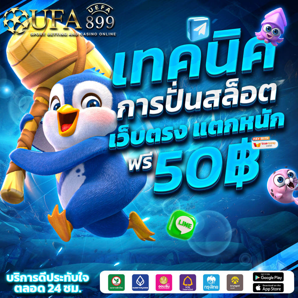 ไม่พบรูปภาพ