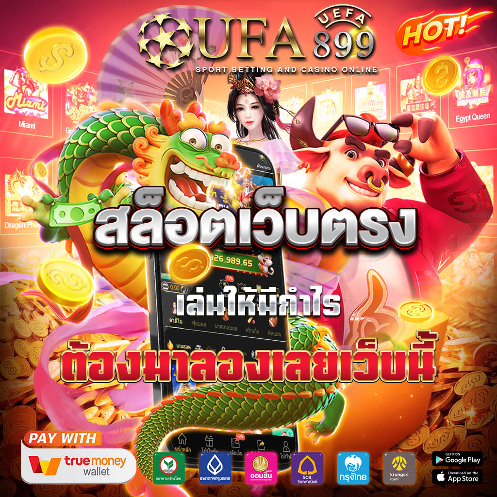 ไม่พบรูปภาพ