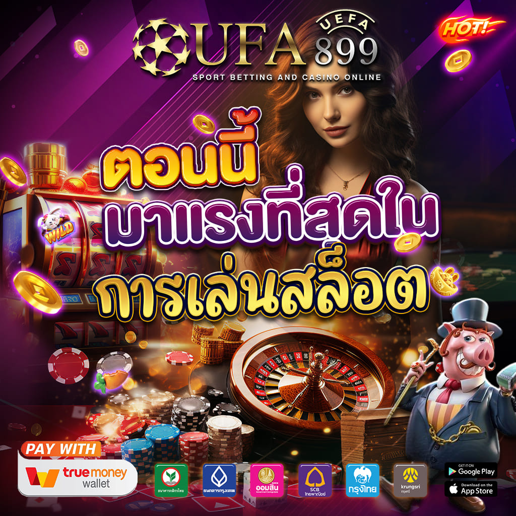 ไม่พบรูปภาพ