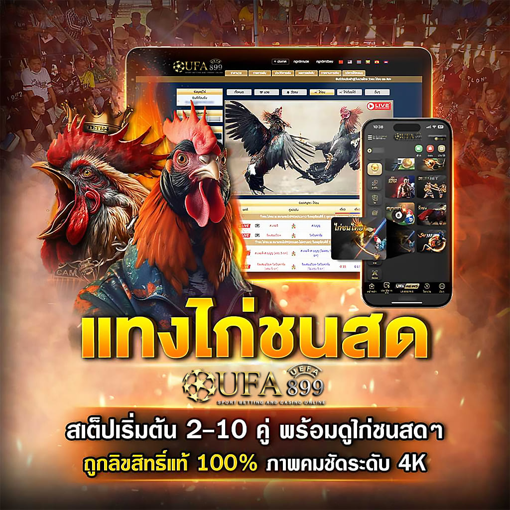 ไม่พบรูปภาพ