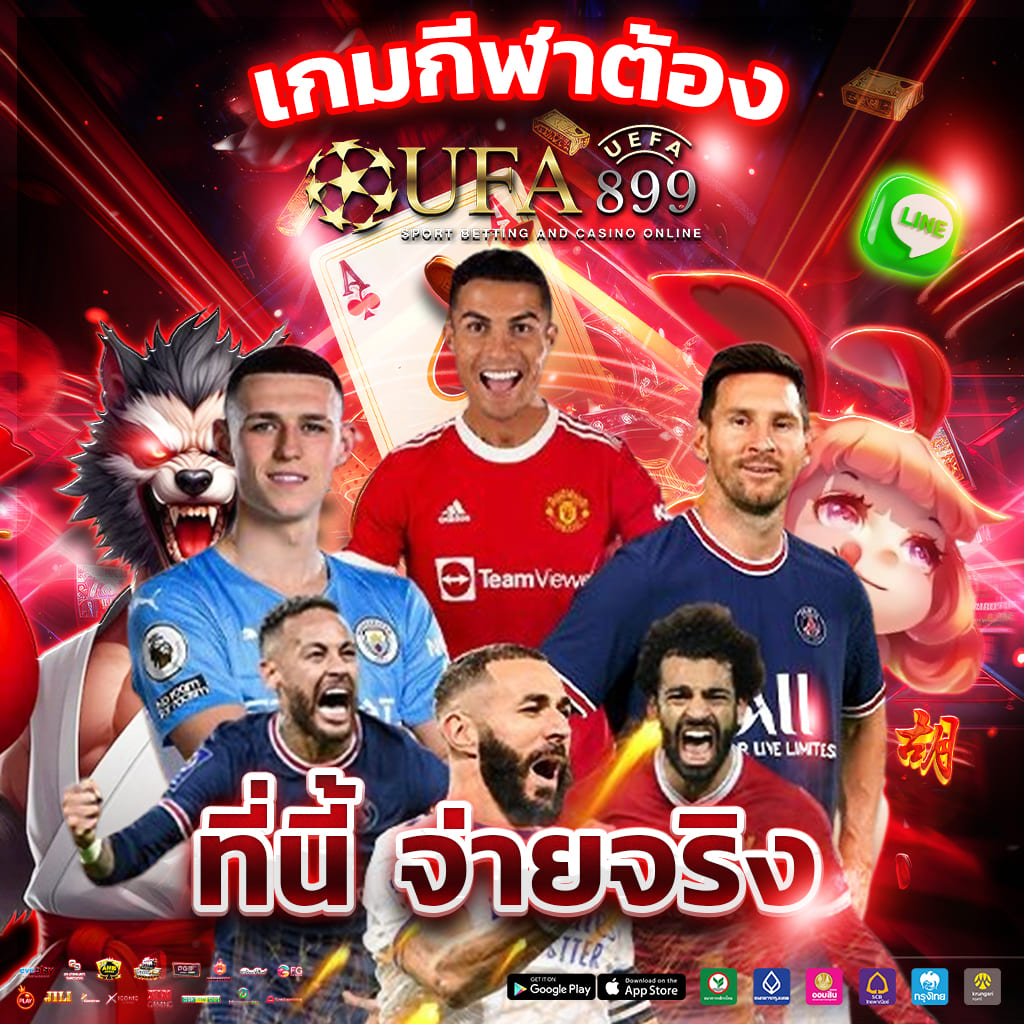 ไม่พบรูปภาพ